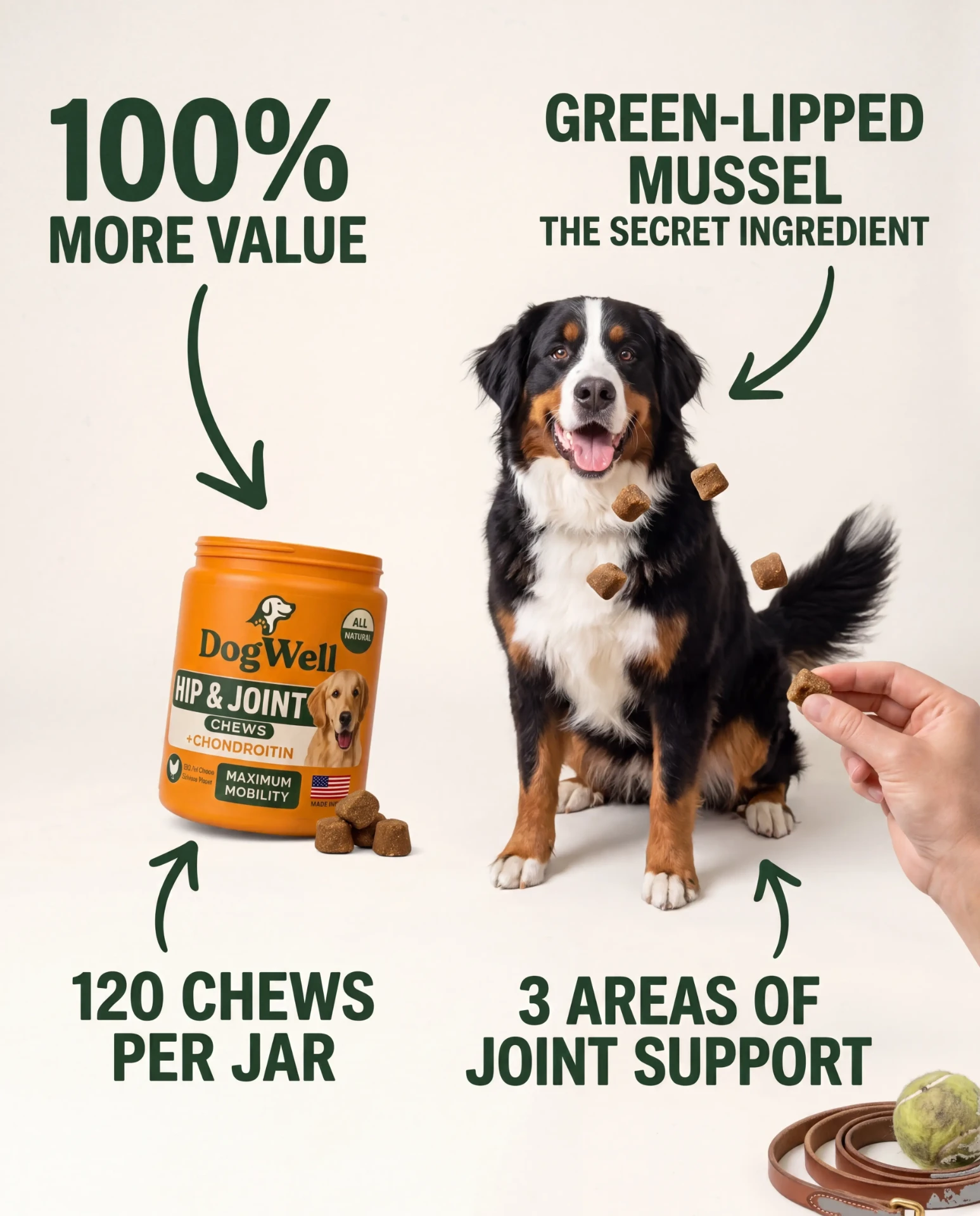 DogWell Hip & Joint jar beside a Bernese Mountain Dog with 120 chews per jar and green-lipped mussel callouts